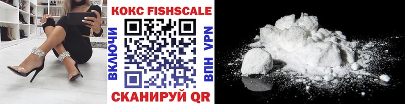 Купить где  Питкяранта  COCAIN 98% 