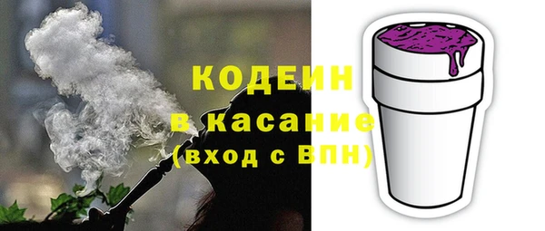 индика Краснотурьинск