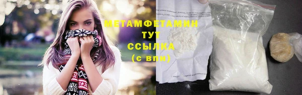 индика Краснотурьинск