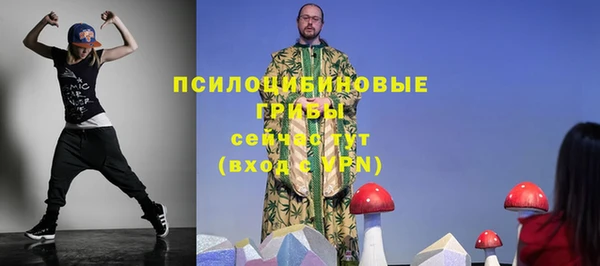 дживик Ижевск