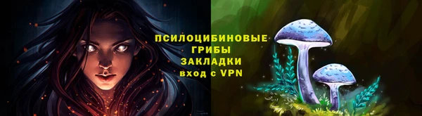 индика Краснотурьинск