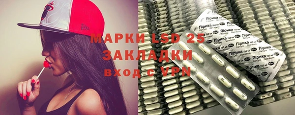 индика Краснотурьинск