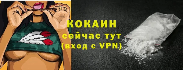 индика Краснотурьинск