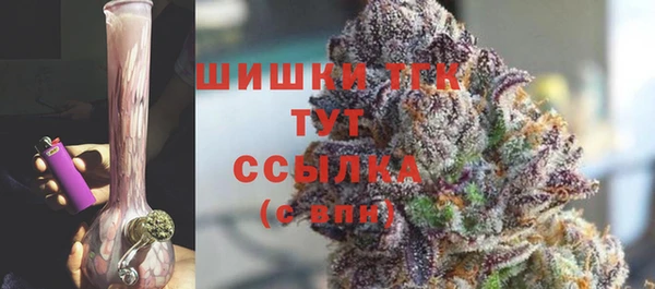 молекула духа Санкт-Петербург